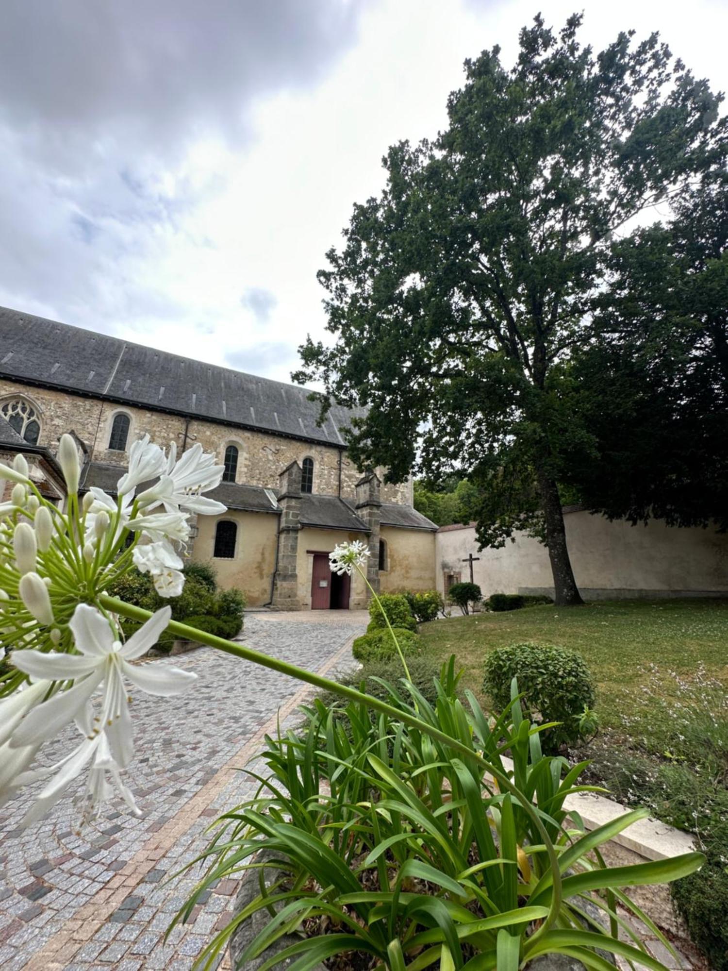 Pink Tropical Champagne Apartamento Reims Exterior foto